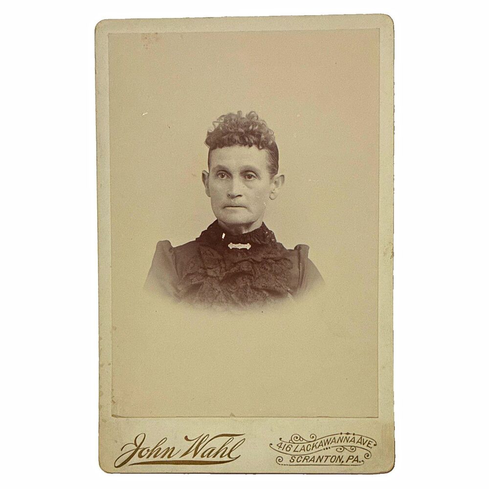 Antique Cabinet Card Matilda Beemer Scranton PA Identified Family Photo Genealog